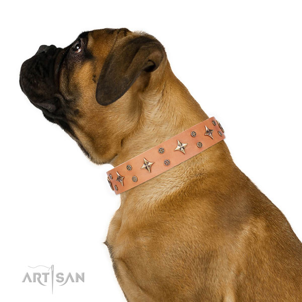 Bullmastiff exceptional genuine leather dog collar with studs