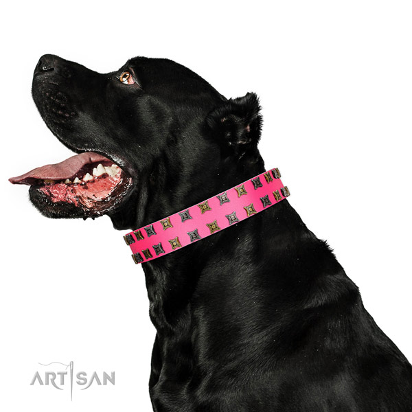 Bright Pink Leather Cane Corso Collar for Supreme Look