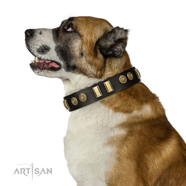 Central Asian Shepherd walking dog collar of designer genuine leather