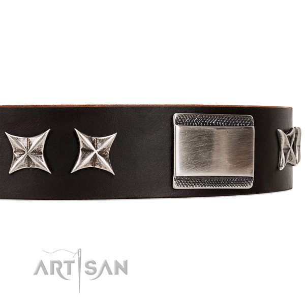 fashionable leather dog collar with chrome-plated
adornments