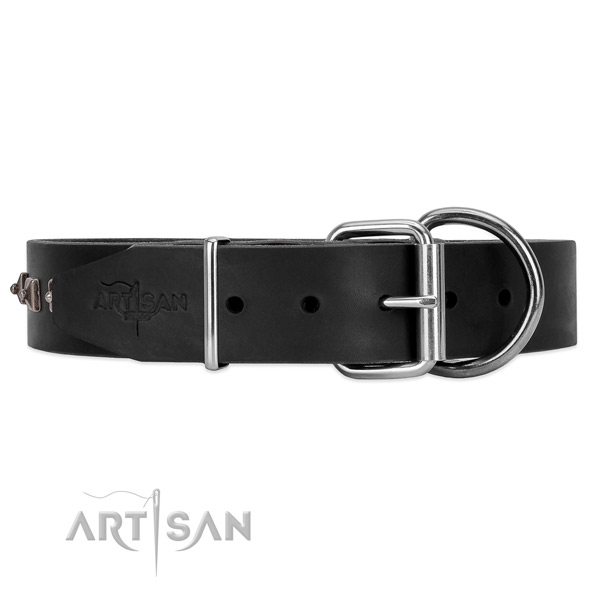 Leather dog collar with cool silver-like hardware