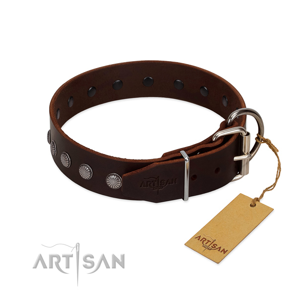 Comfy to wear leather dog collar for safe walks
