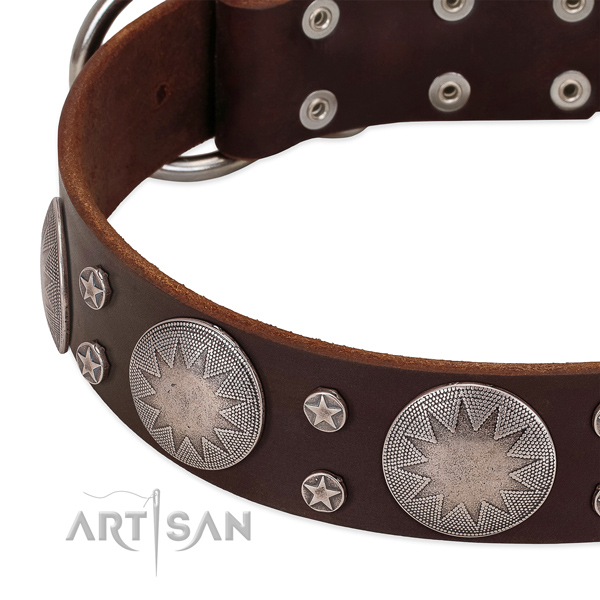 FDT Artisan dog collar with amazing stars