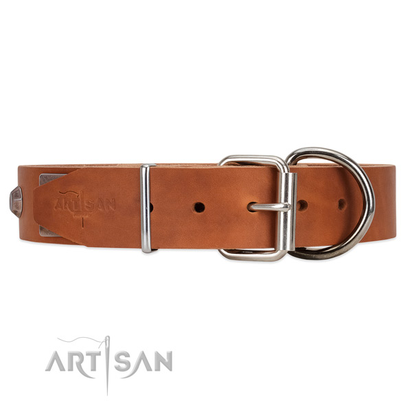 Leather dog collar with steel hardware