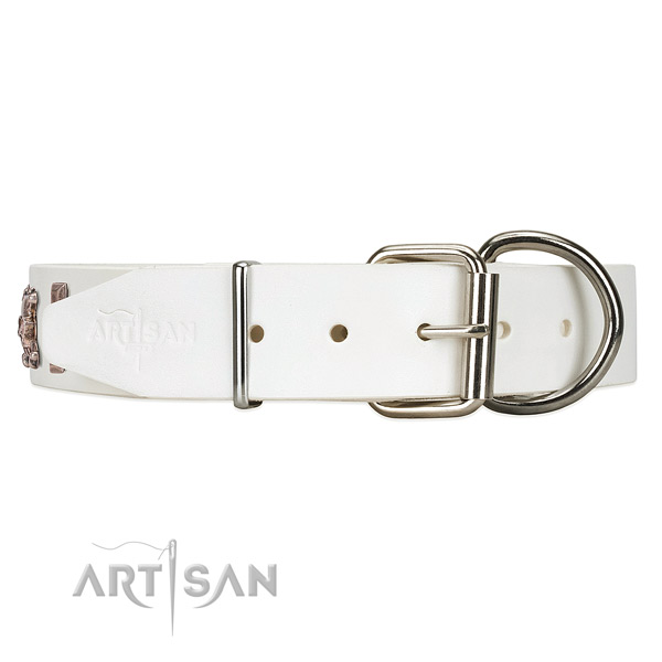 White Leather dog collar with posh silver-like hardware