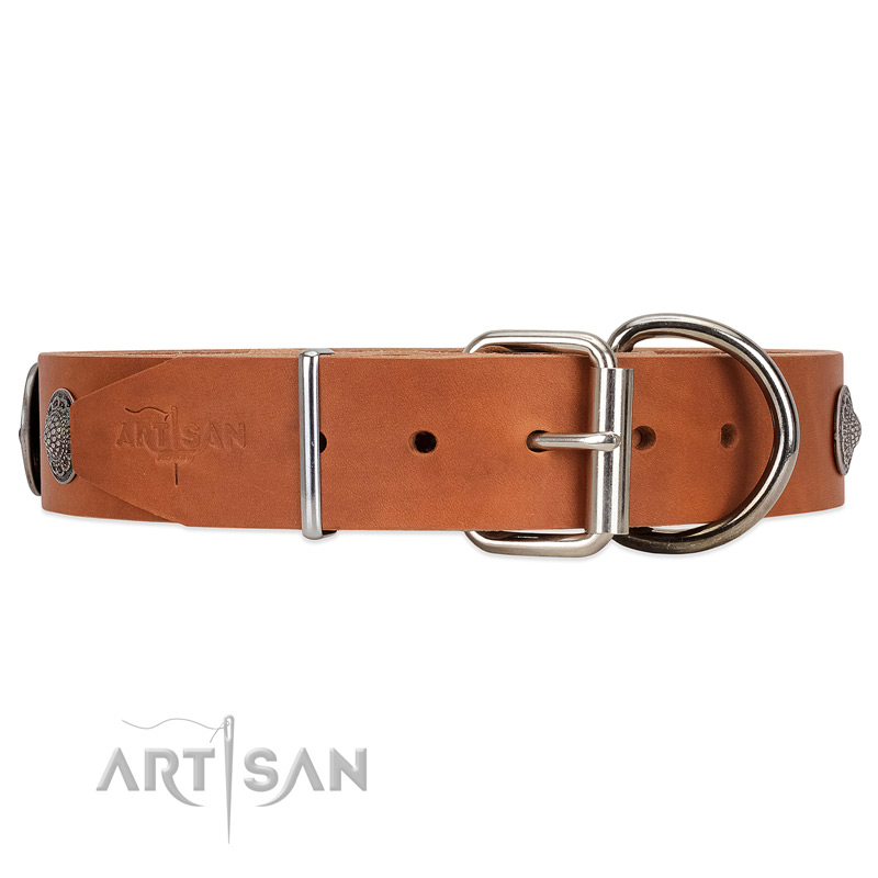 Unique style tan leather dog collar with tough fittings