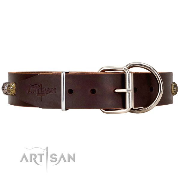 Leather Dog Collar with Chrome-plated Fittings