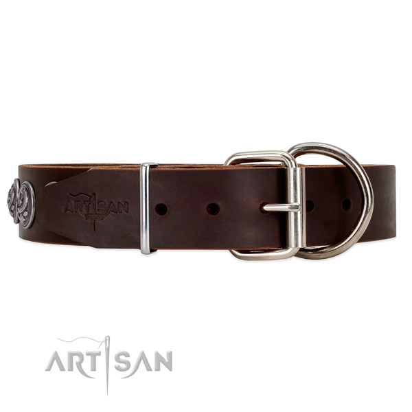 Deluxe FDT Artisan brown leather dog collar with
heavy-duty hardware