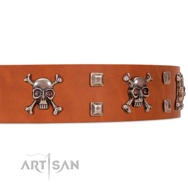 Tan leather dog collar with riveted decorations