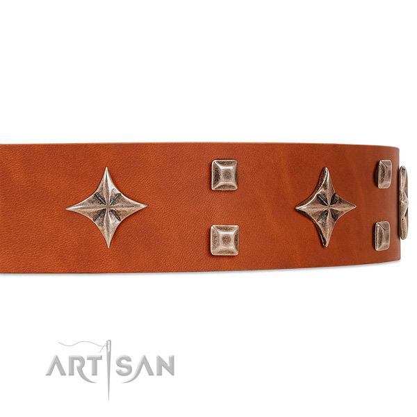 Premium quality tan leather dog collar with attractive
stars and studs