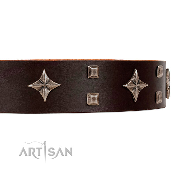 Premium quality leather dog collar with attractive stars
and studs