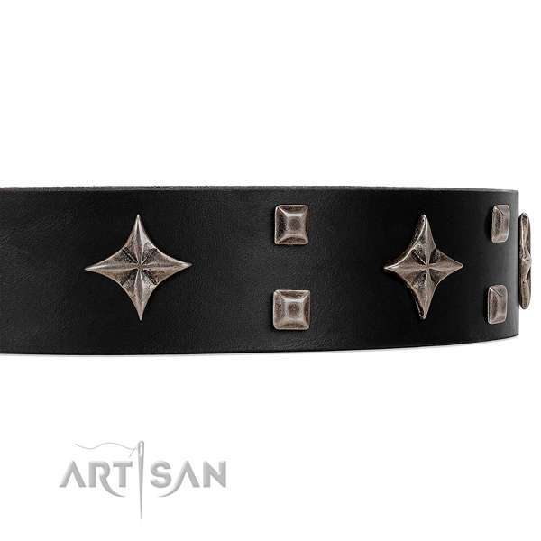 Ritzy black leather collar with attractive decorations