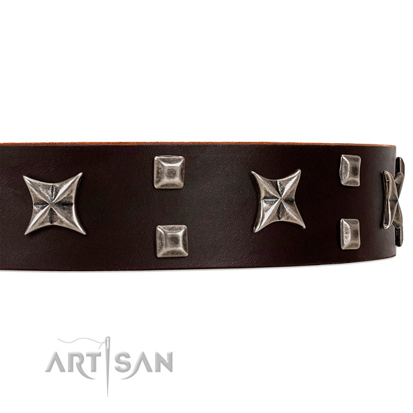 Fancy Style Brown Leather Dog Collar with Studs and
Stars
