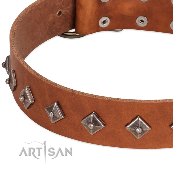 Leather dog collar with chrome-plated steel fittings