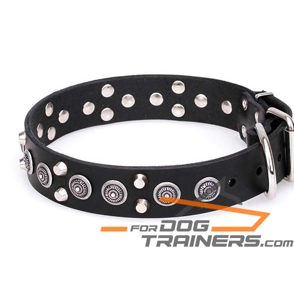 Circles and Cones Attached to Leather K9 Collar