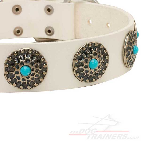 Circles with blue stones on Dog Collar