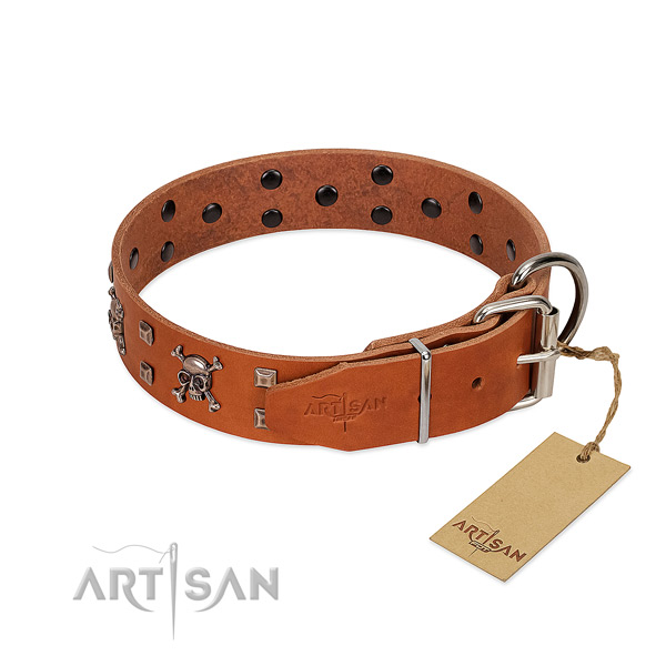 Reliable leather dog collar for comfortable wear