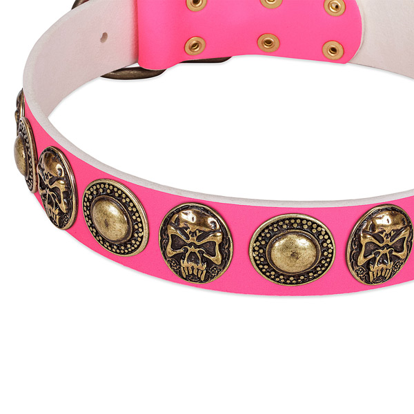 Pink dog collar with conchos and medallions