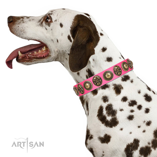 FDT Artisan leather Dalmatian collar for daily use