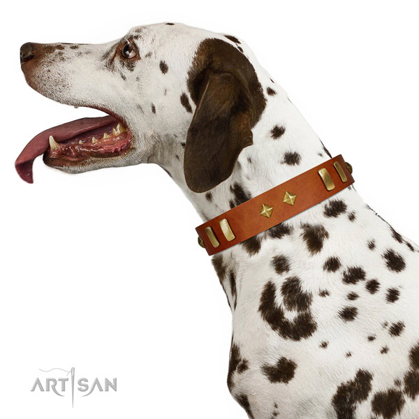 Matchless Quality Tan Leather Dalmatian Collar for
Walking