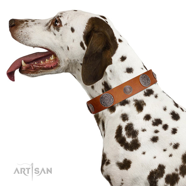 Tan genuine leather Dalmatian collar for FDT Artisan