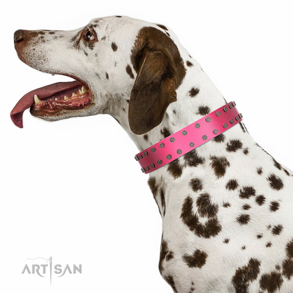 Extraordinary walking pink leather Dalmatian collar with
chic decorations