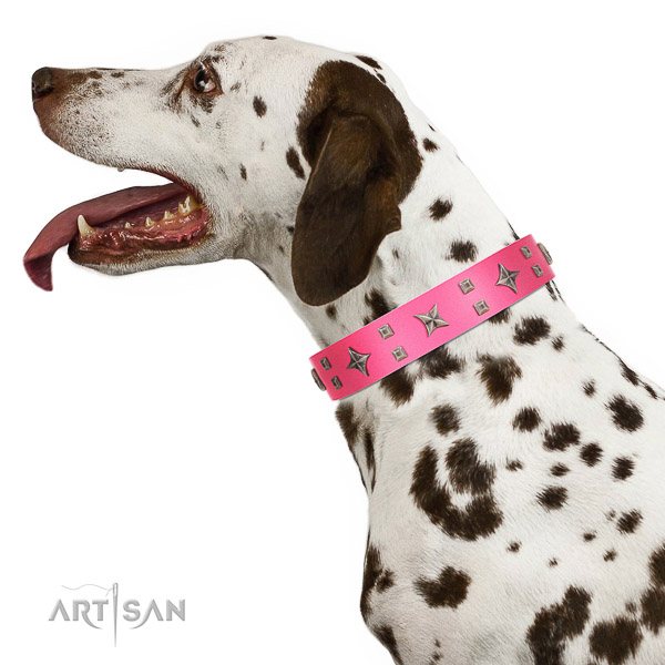 Extraordinary walking pink leather Dalmatian collar with
modern decorations