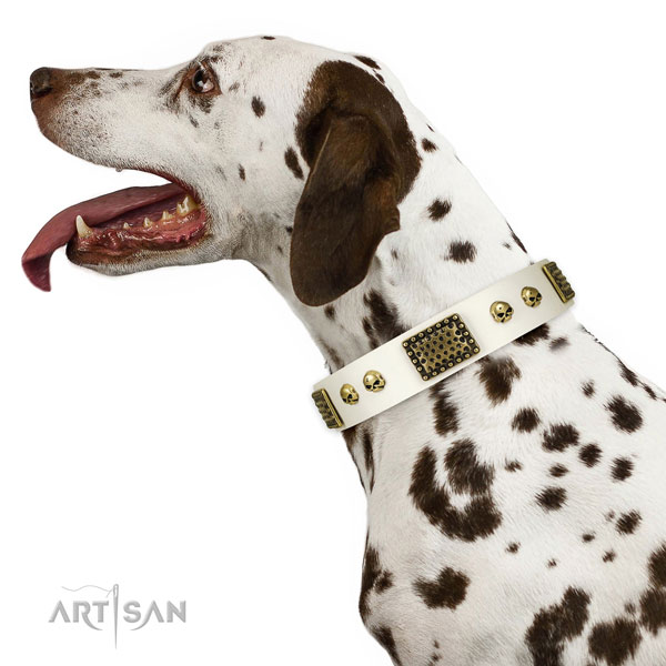 Dalmatian handy use dog collar of stylish leather