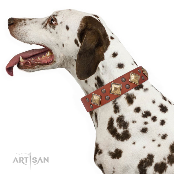 Dalmatian stylish design natural genuine leather dog collar with embellishments