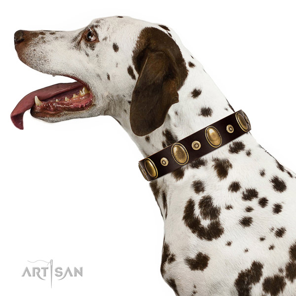 Leather Dalmatian Collar with Stylish Embellishments of Outstanding Quality