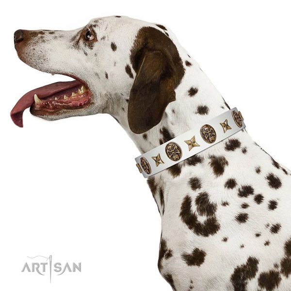 White Leather Dalmatian Collar for Perfect Look