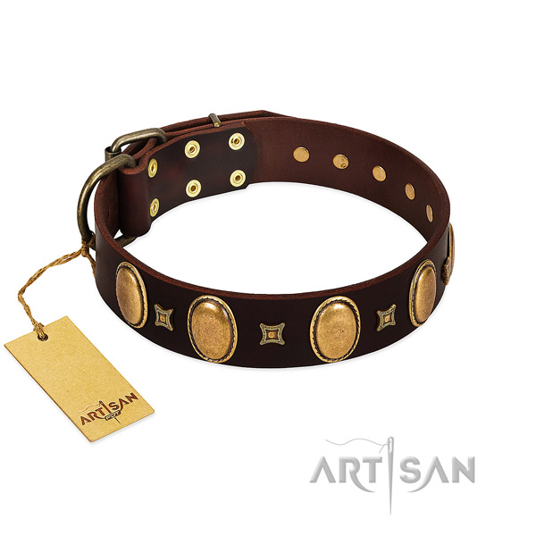 Decorated with Ovals and Studs Brown Leather Dog Collar for Safe Walkin