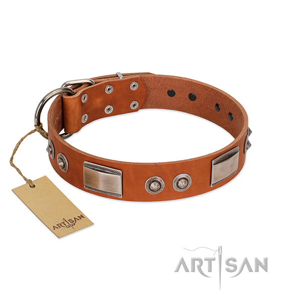 Exquisite Tan Leather Dog Collar with Brooches and Plates