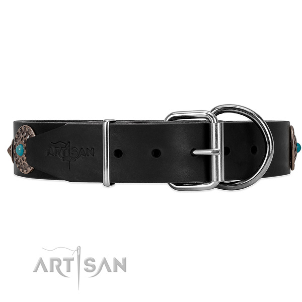 Elegant dog collar of black leather with buckle and D-ring