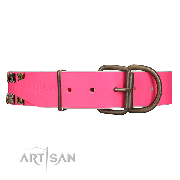 Daily Walking Leather Dog Collar with Sturdy Buckle and D-ring