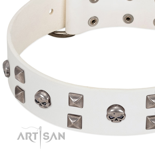 Elegant white leather dog collar with skulls and studs