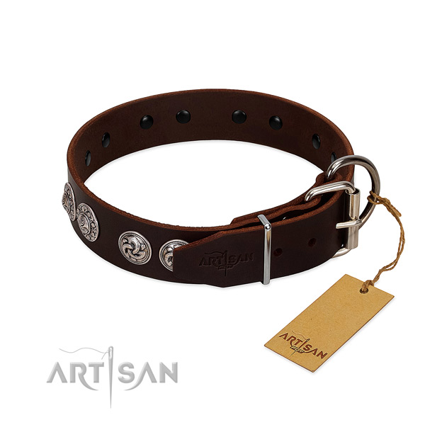 Deluxe brown leather dog collar with strong hardware