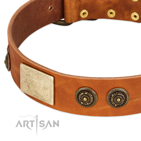 Tan Leather Dog Collar with Handset Conchos and Massive Plates