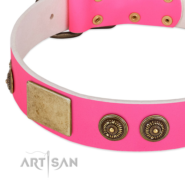 Pink Leather Dog Collar with Classy Conchos and Plates