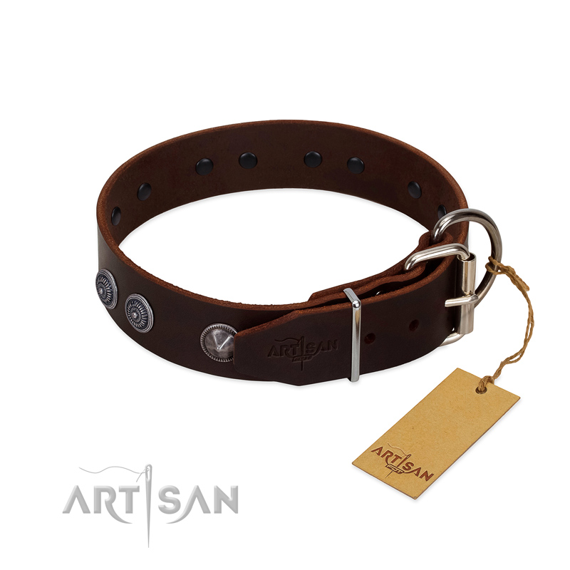 Fancy decorated leather dog collar with sturdy hardwares