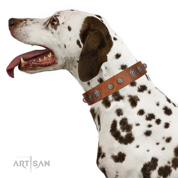 Stylish Dalmatian Collar of Soft Leather for Comfortable
Wear