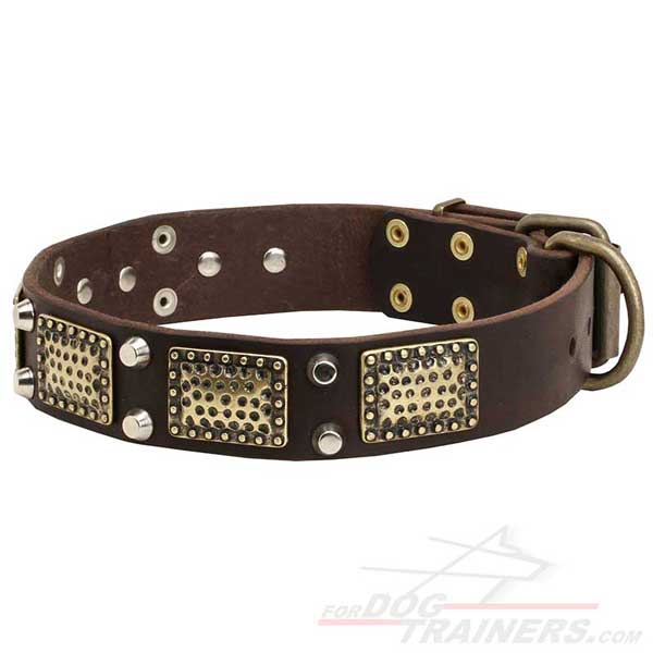 Leather dog collar with rust-proof vintage brass plates and nickel studs