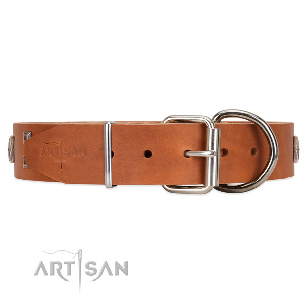 Deluxe style tan leather collar with hardware