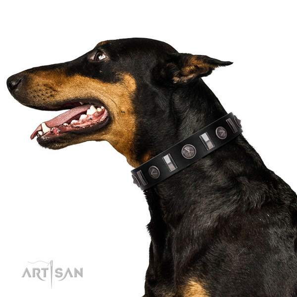 Extraordinary walking black leather Doberman collar with
chic decorations