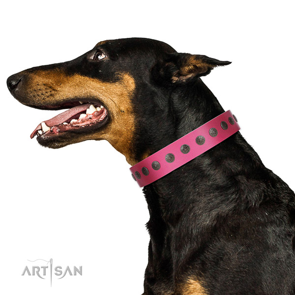 Extraordinary walking pink leather Doberman collar with
chic decorations