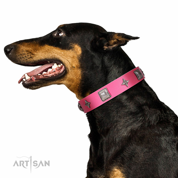 Decorated leather Doberman collar for comfortable
walking