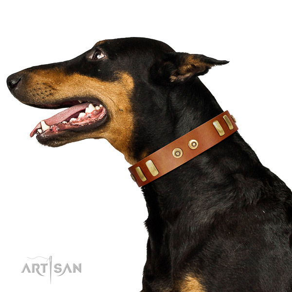 Tan leather Doberman collar for cool daily look