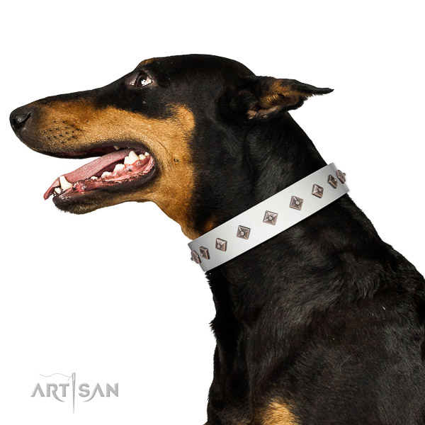New elegant walking white leather Doberman collar with
chic decorations