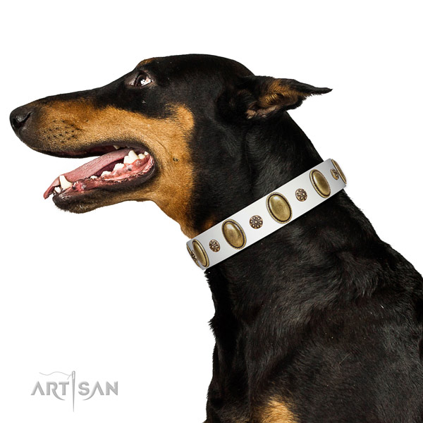White Doberman Artisan leather collar for elegant look