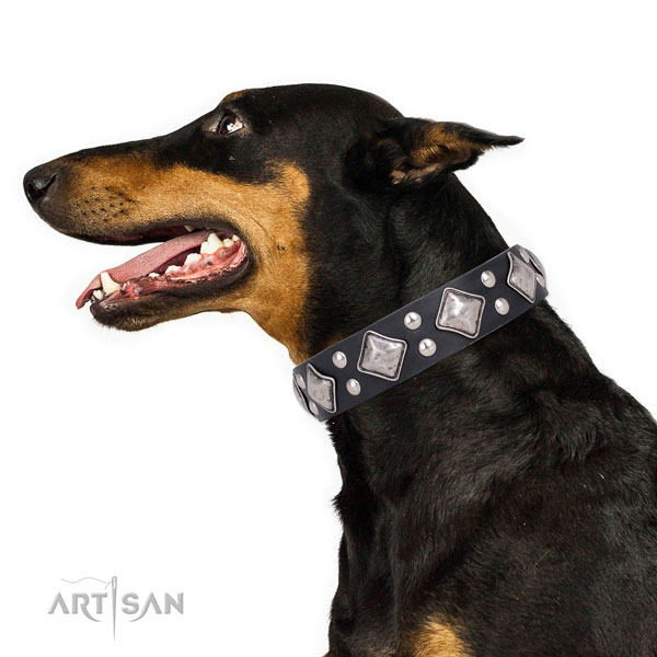 Doberman inimitable natural genuine leather dog collar with embellishments